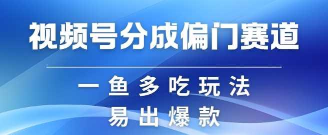 视频号创作者分成计划偏门类目，容易爆流，实拍内容简单易做【揭秘】