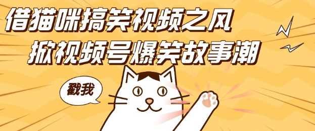 借猫咪搞笑视频之风，掀视频号爆笑故事潮，轻松日入四位数，无门槛快速入门!